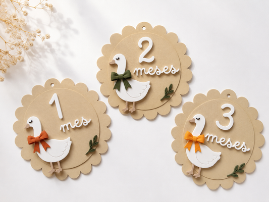 Cumple meses para bebés